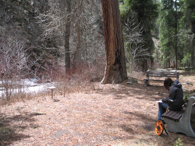 picture showing The trail and overlook are susceptible to debris build-up from overhead canopy trees. Recent improvements have improved asphalt conditions.